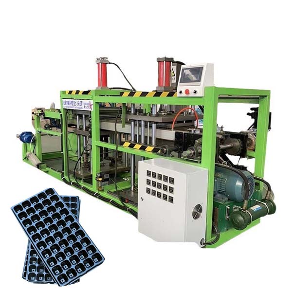 Düzensiz Fide Tepsileri ve Düşük Kapasite? Tüm Sorunlar Çözüldü. - Haberler - Qingdao Eaststar Plastik Makine Co., Ltd.