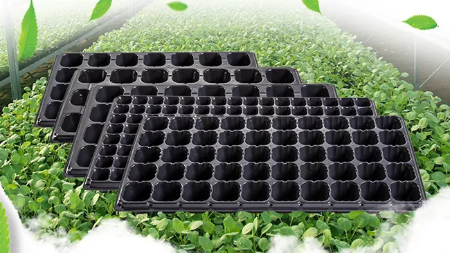 Plastik Fide Tepsisi Makinaları